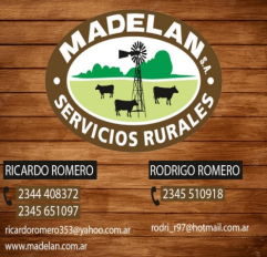 Publicidad 3